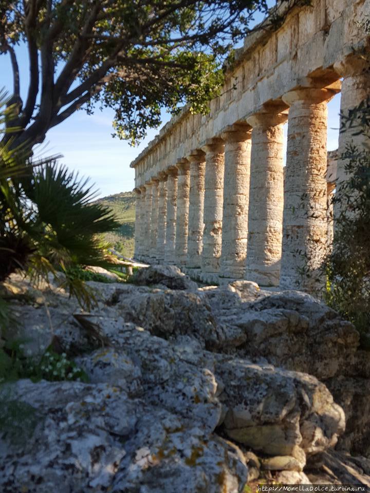 Археологический парк в Calatafimi Segesta