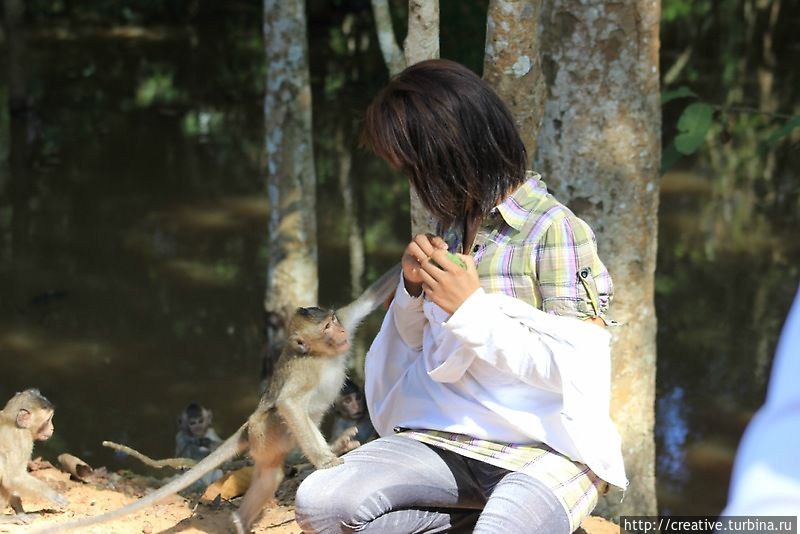 Пока в один момент к ней нагло не подошел представитель местного гоп-сообщества... Пока в один момент к ней нагло не подошел представитель местного гоп-сообщества...