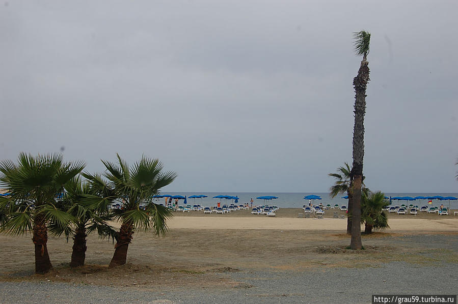 Пляж Финикудес Ларнака, Кипр