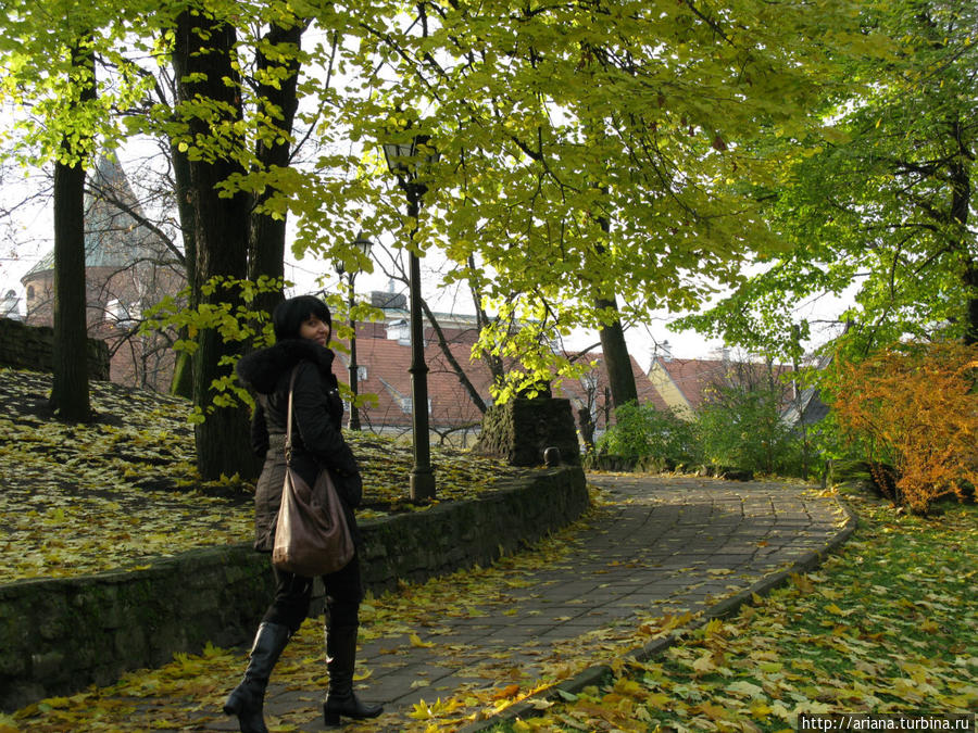 Две любви. Признание. Латвия Две любви. Признание. Латвия