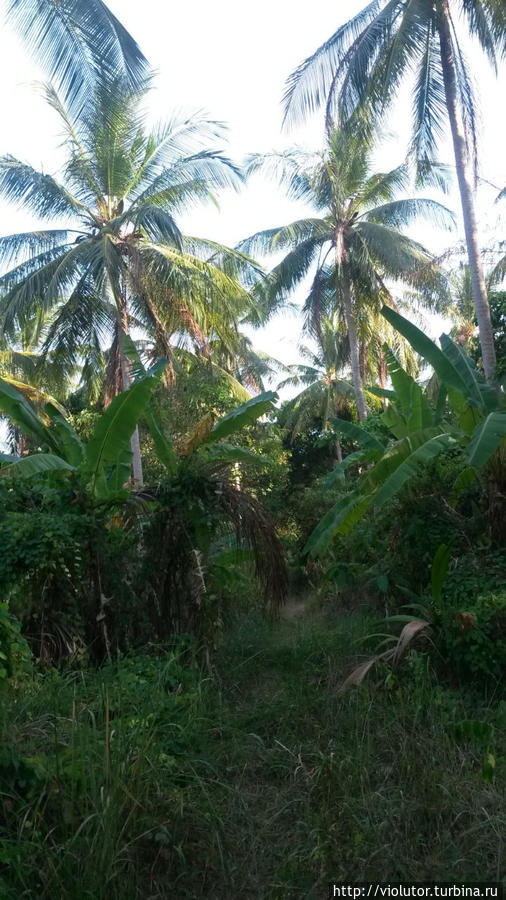 Хрустим песком острова Рача Остров Рача-Яй, Таиланд Хрустим песком острова Рача Остров Рача-Яй, Таиланд