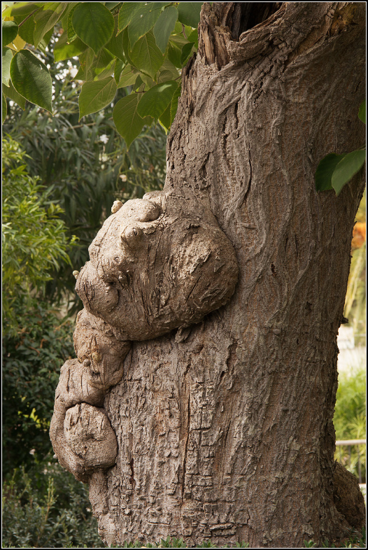 Прогулка по Рагузе Рагуза, Италия Прогулка по Рагузе Рагуза, Италия