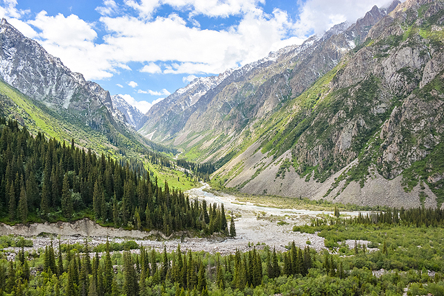 Северный Тянь-Шань, июнь 2013г. Киргизия