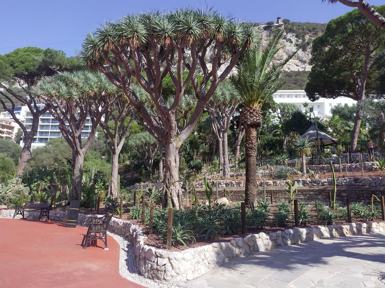Ботанический сад Аламеда Гибралтар Гибралтар город, Гибралтар