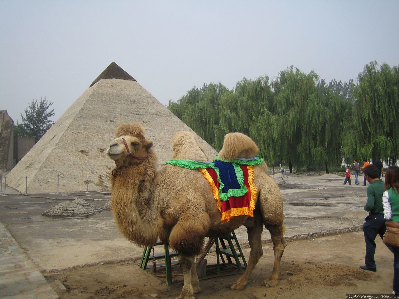 Пекин. Парк Миниатюр.Египетские пирамиды и  живой верблюд Пекин, Китай