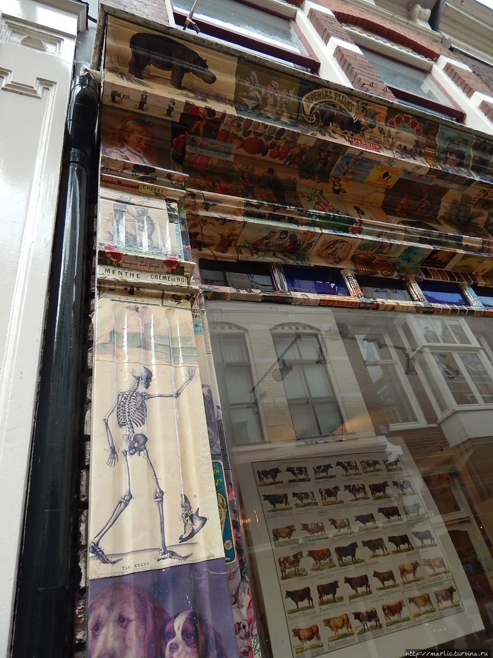 Чудо импортозамещения Харлем, Нидерланды Чудо импортозамещения Харлем, Нидерланды