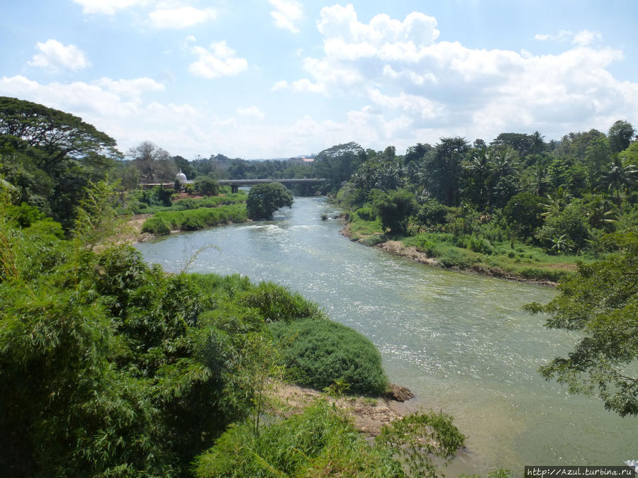Река в Канди Калутара, Шри-Ланка
