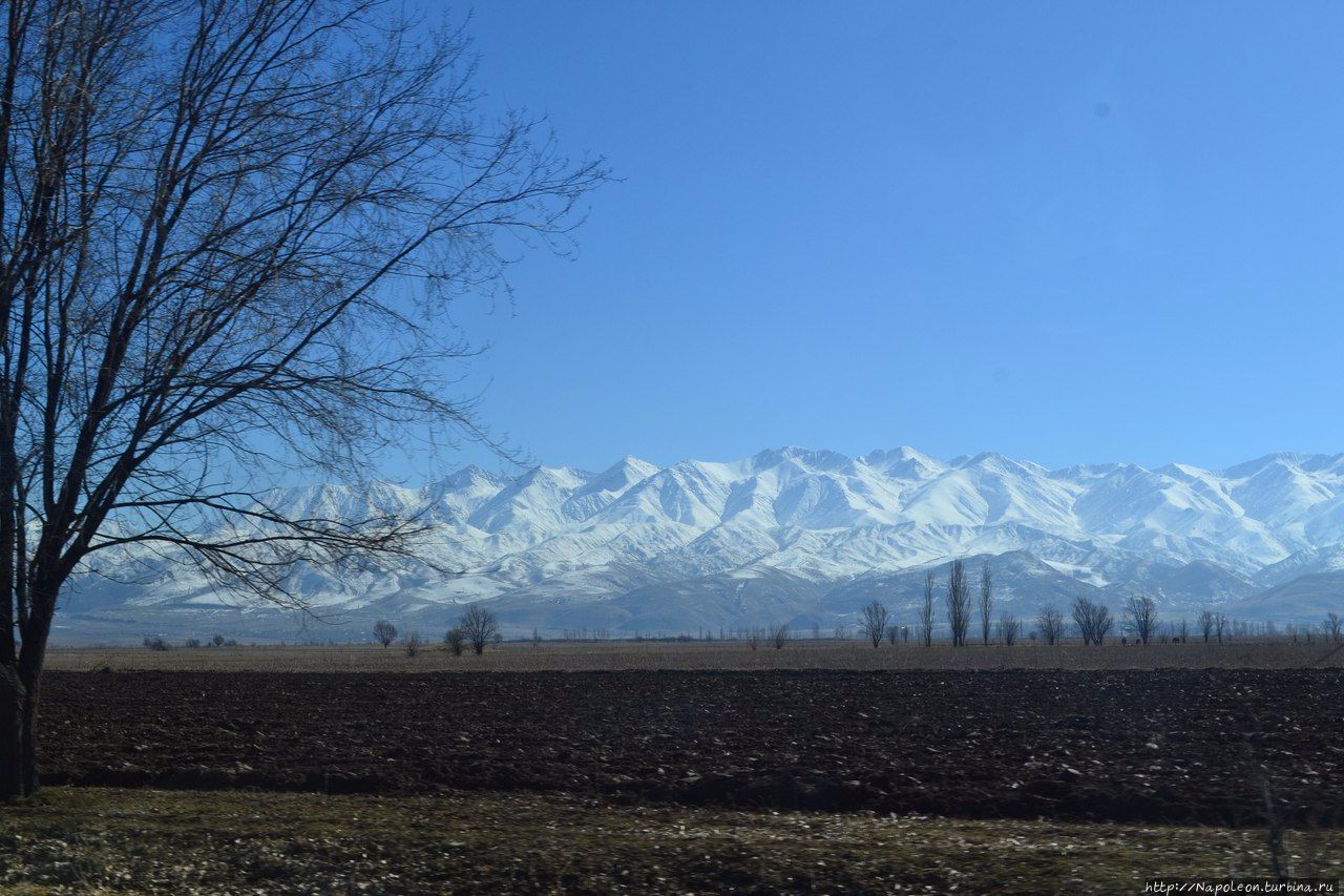 Башня Бурана Бурана (Баласагун), Киргизия