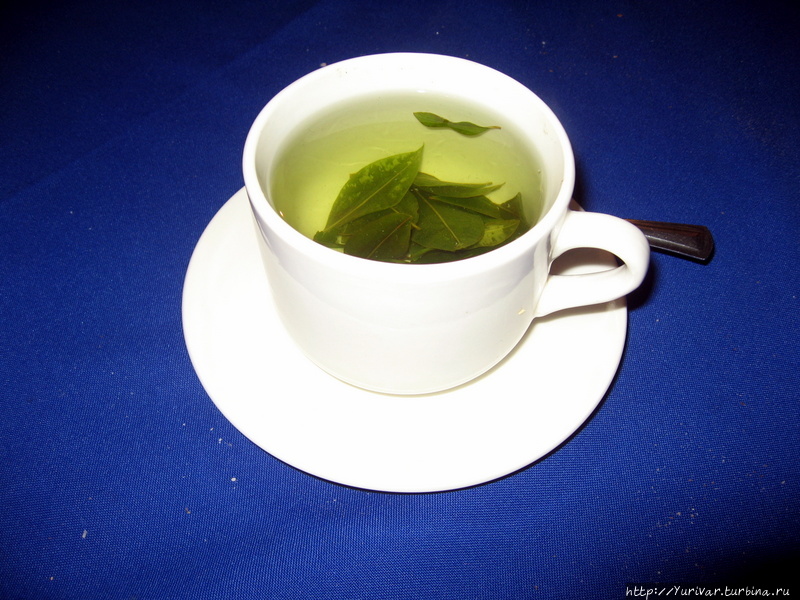 Чачешка чая с листьями ко