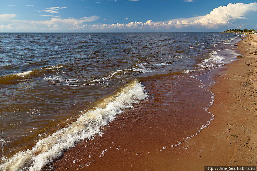 Чудское — озеро с эффектом дежавю Псковская область, Россия