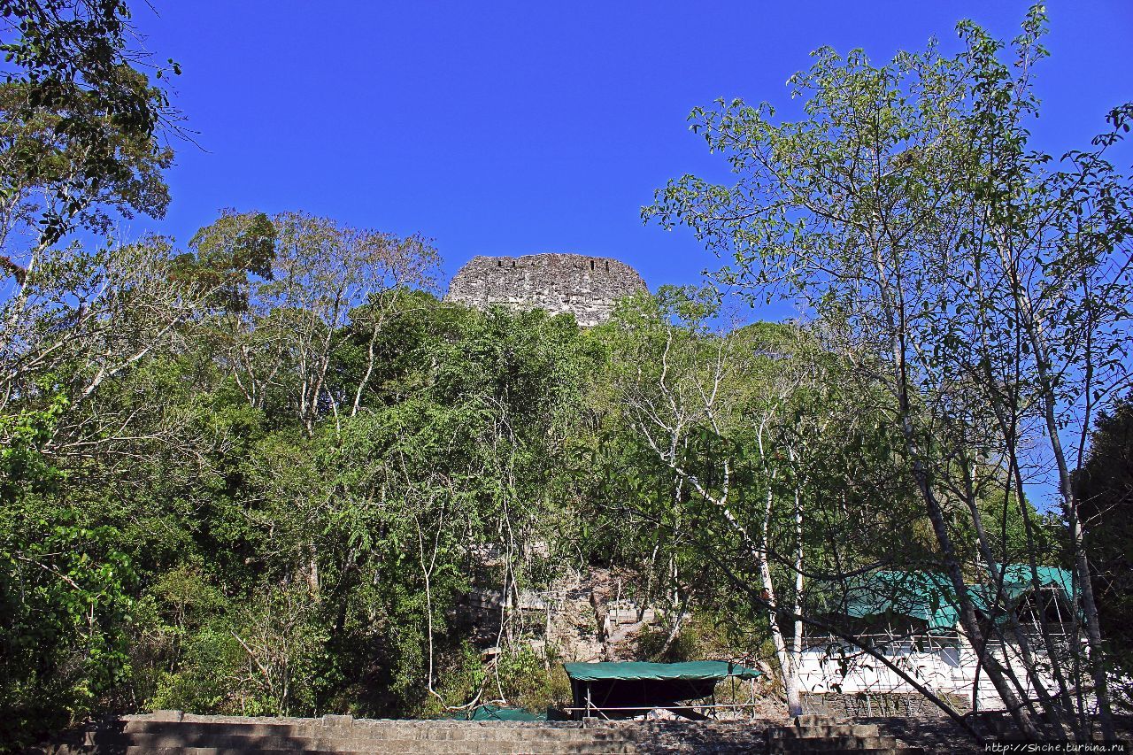 Национальный парк Тикаль Тикаль Национальный Парк, Гватемала