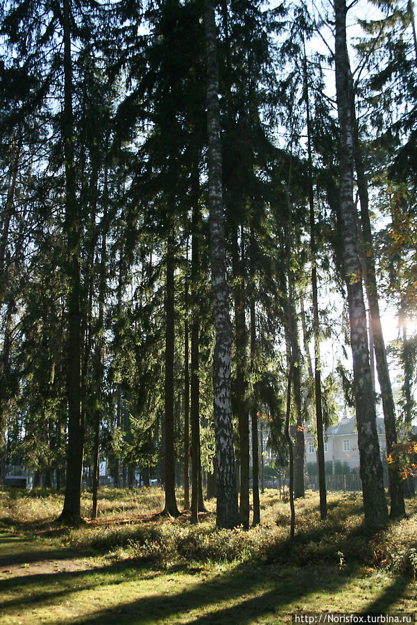 в парк в парк