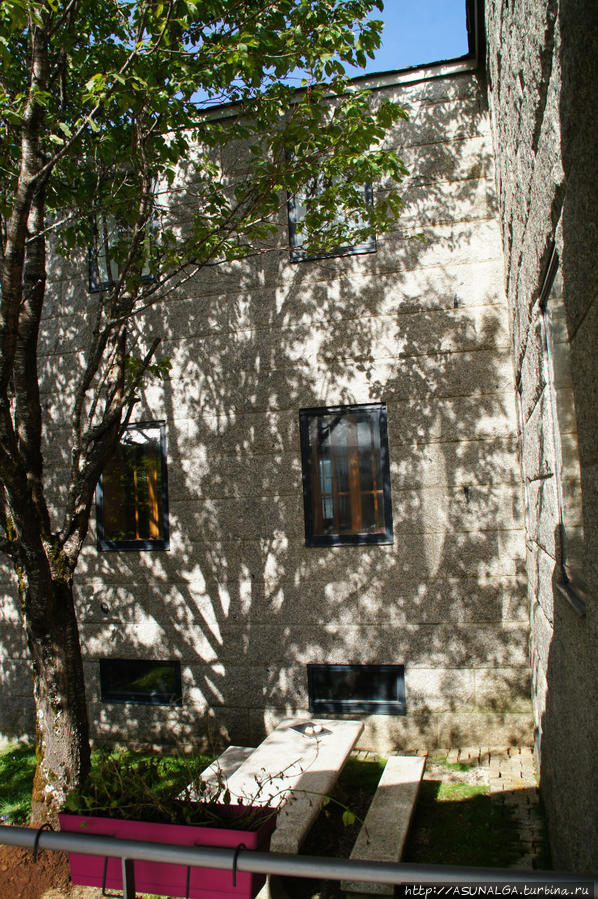 Пиорнедо и уникальные пальосы... Сьерра де Анкарес Биорезерват ЮНЕСКО, Испания