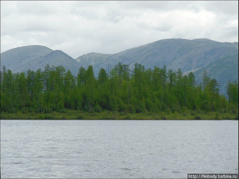 Рыбалка на Икабьяканских озёрах Забайкальский край, Россия