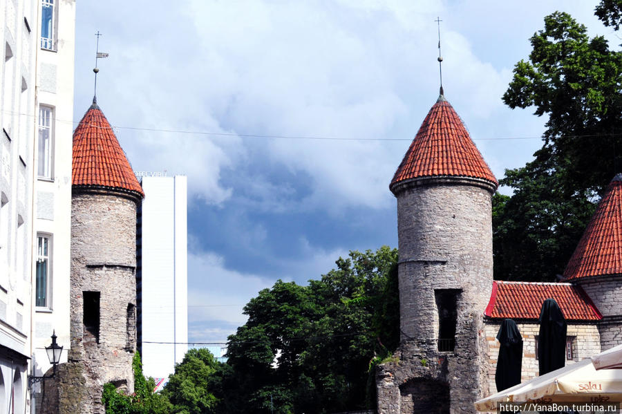 Вируские ворота. Главная башня ворот была построена в 1345 – 1355 гг. Таллин, Эстония