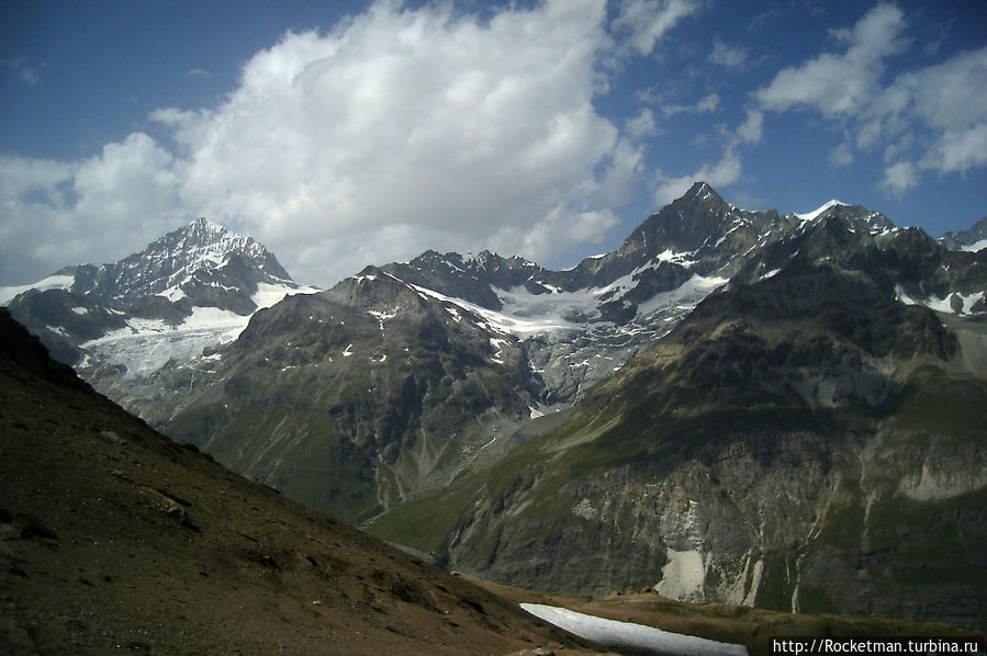 Эдельвейс Эдельвейс