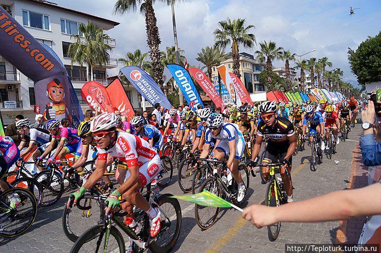 Основной пелетон всего в Основной пелетон всего в