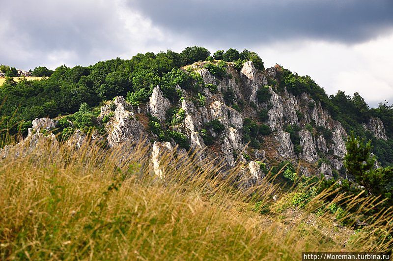 Как мы не дошли до конца посещая Демерджи Алушта, Россия Как мы не дошли до конца посещая Демерджи Алушта, Россия