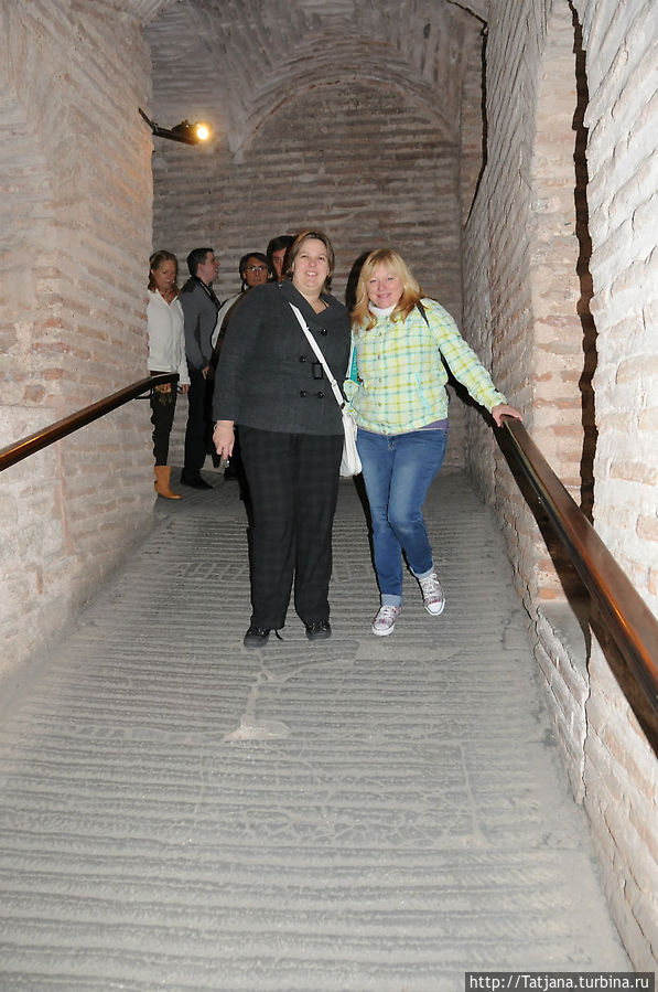 я и большая медведица я и большая медведица