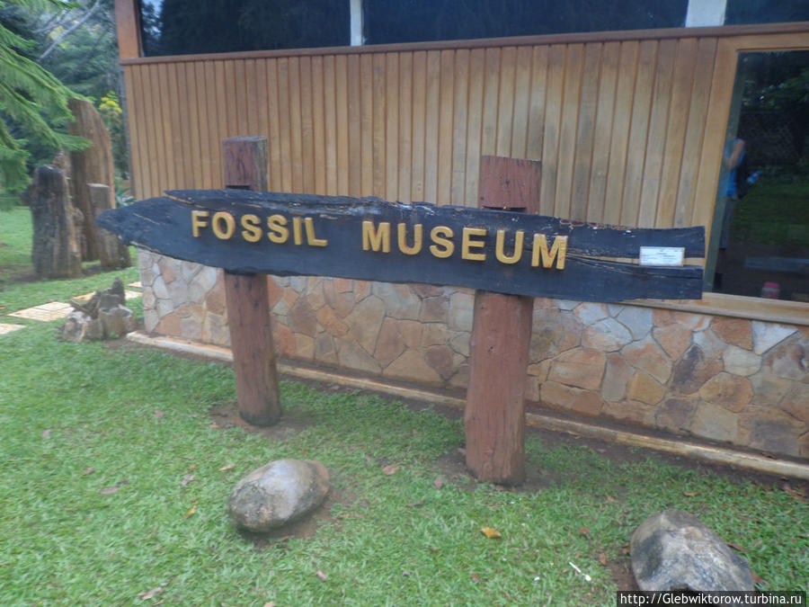 Fossil Museum Пьин-У-Львин, Мьянма