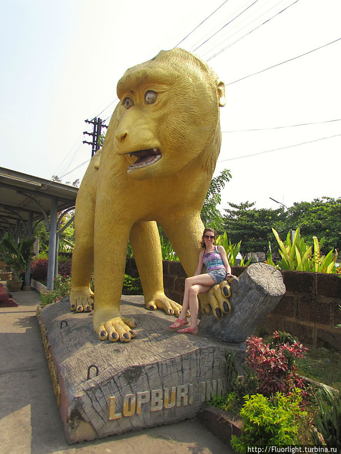 Золотая обезьяна встречает и провожает туристов на вокзале города Лоп-Бури, Таиланд