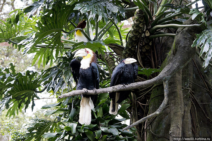 Ну, очень важные! Ну, очень важные!