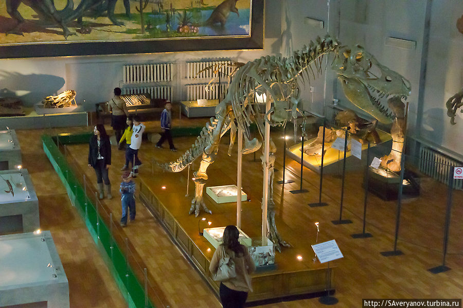 Музей естественной истории в Улан-Баторе, кости динозавров здесь Южно-Гобийский аймак, Монголия