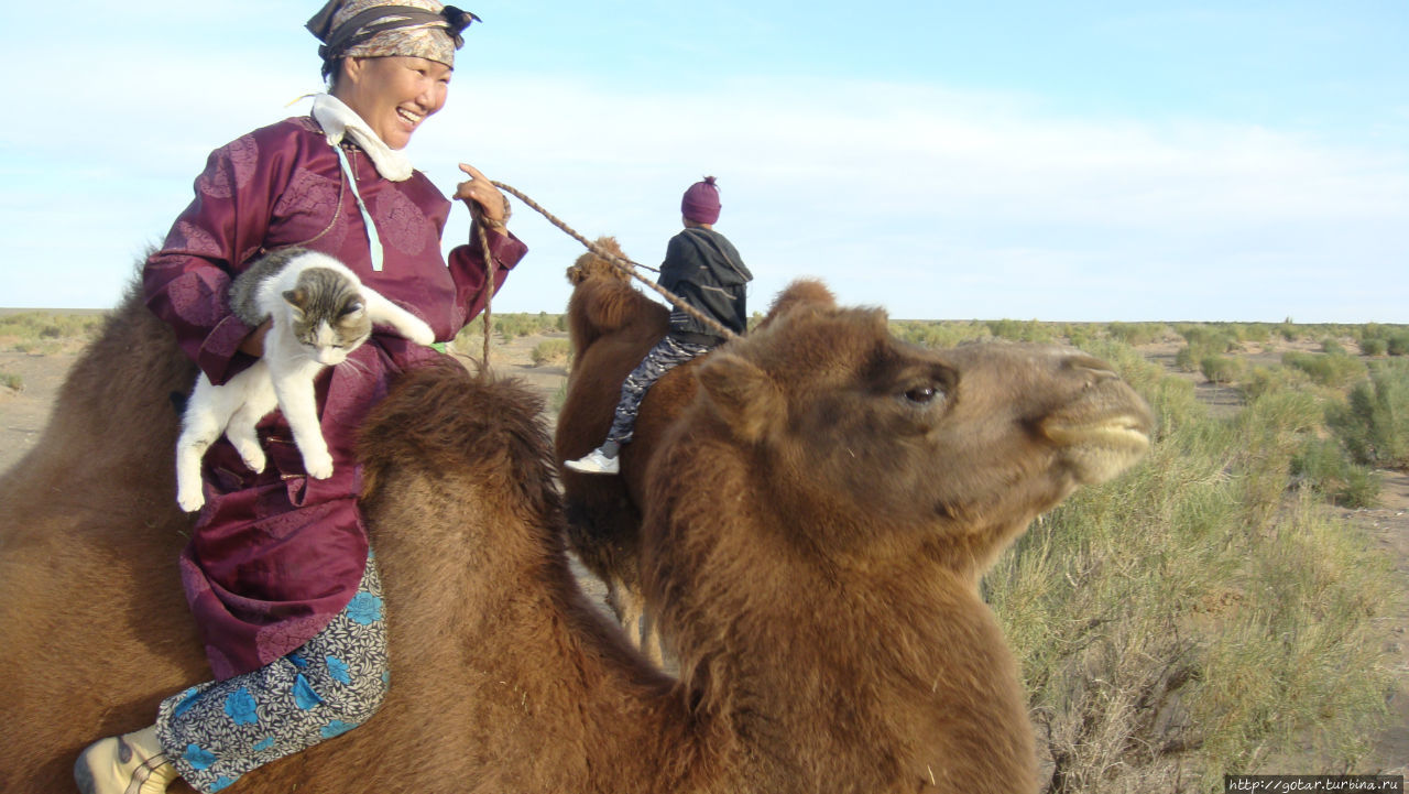 Как вы лошадь назовёте, так она и побежит  дорогами Монголии