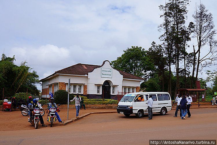 Университетский книжный магазин. Университетский книжный магазин.