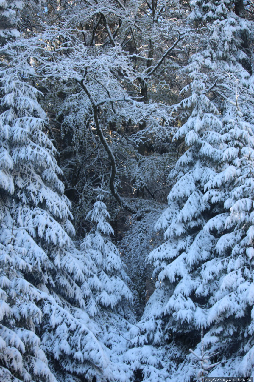 Город за облаками. Предял, Румыния