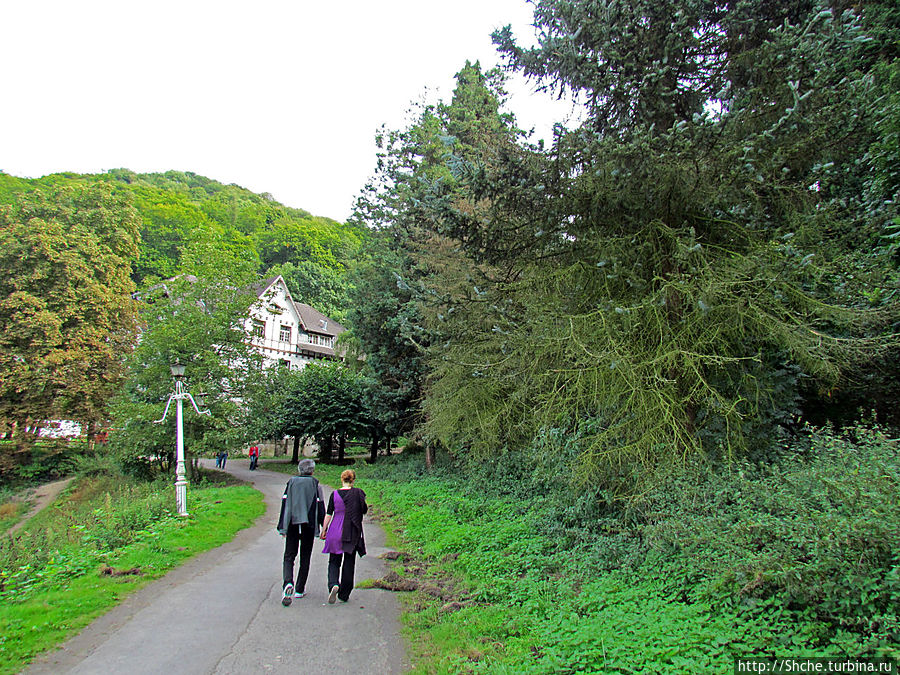 кое-кто подымается вверх, энтузиасты кое-кто подымается вверх, энтузиасты