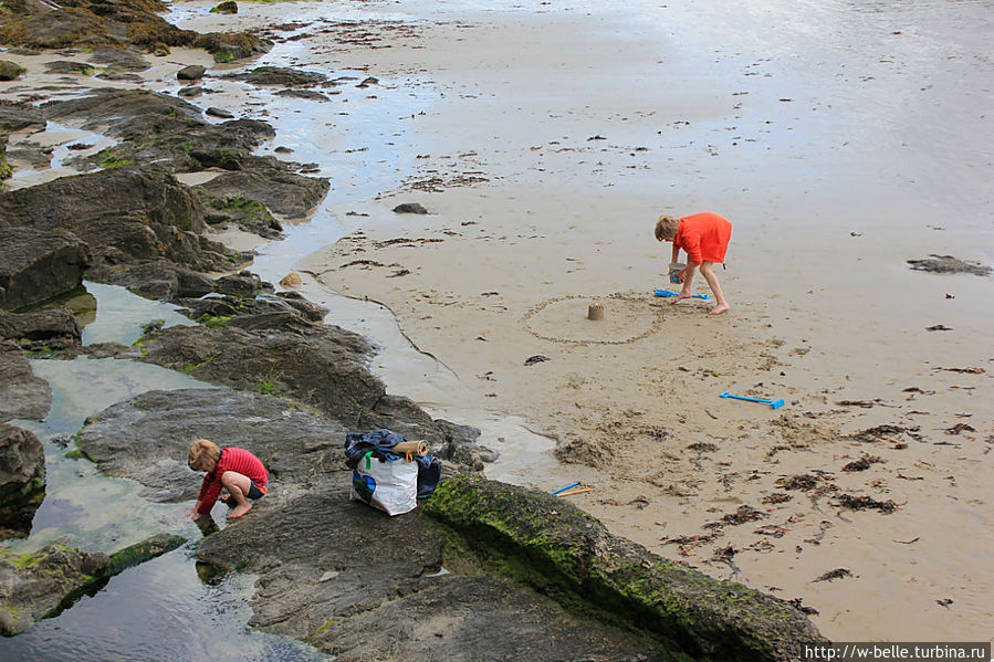 А мне приятно наблюдать их веселую и увлеченную игру. А мне приятно наблюдать их веселую и увлеченную игру.