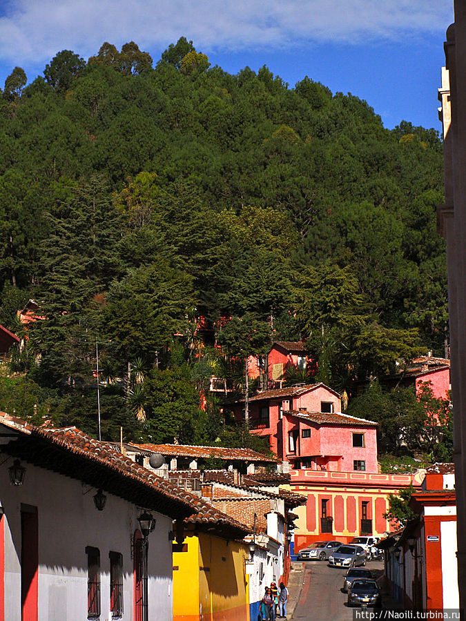 Холмы, окружающие город, покрыты густым лесом, похоже на склонах живут очень богатые люди. Холмы, окружающие город, покрыты густым лесом, похоже на склонах живут очень богатые люди.