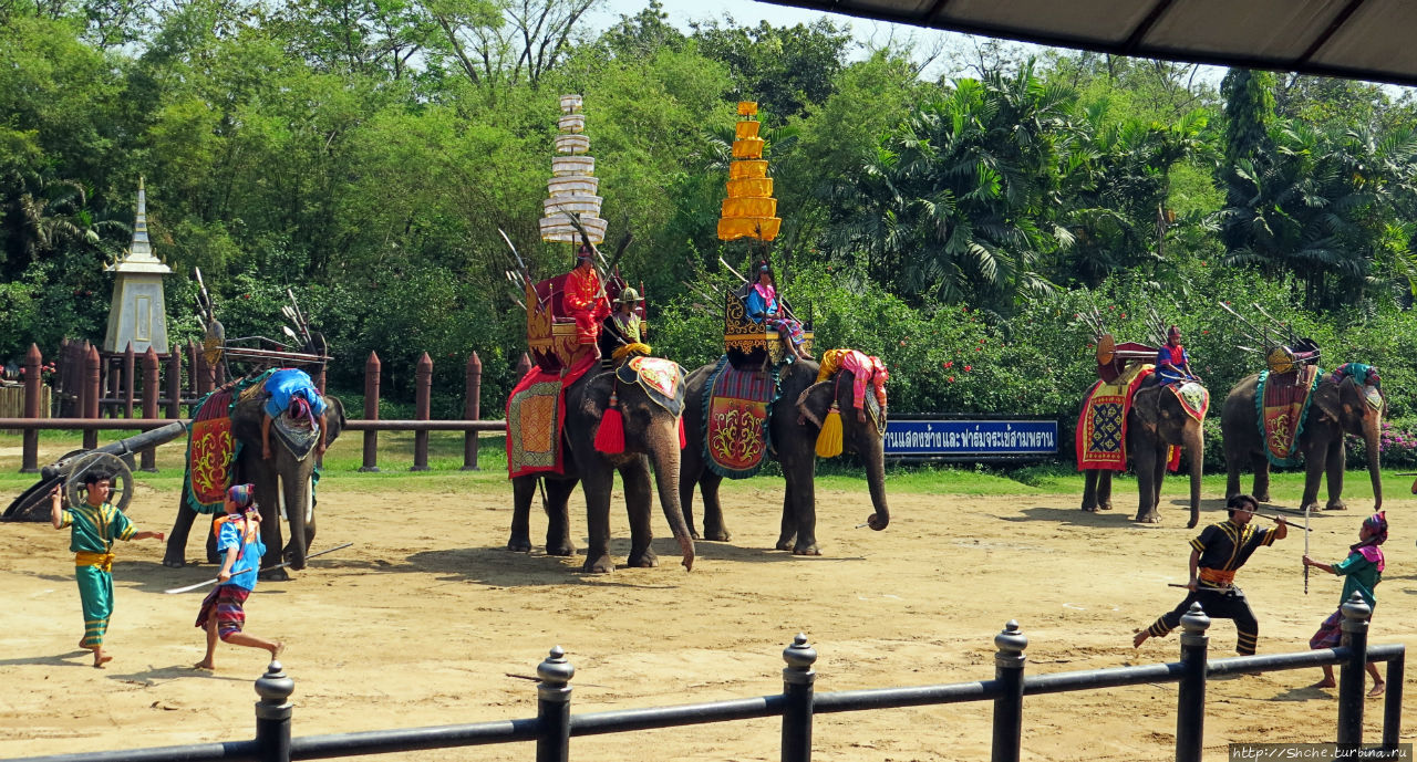 Elephant Show (Samphran Elephant Ground & Zoo) Сам-Пран, Таиланд