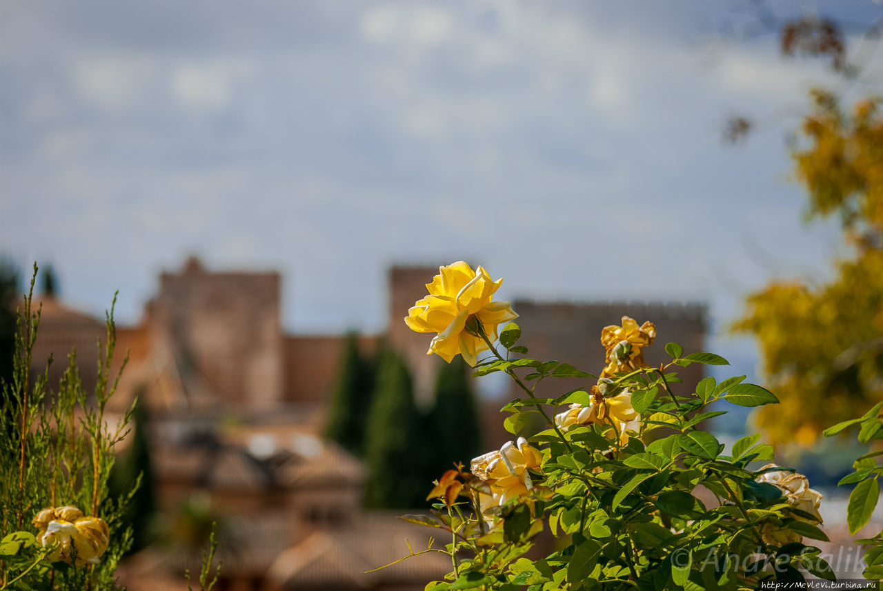 Прогулка в саду Хенералифе Альхамбра, Испания Прогулка в саду Хенералифе Альхамбра, Испания