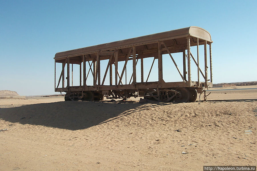 Верблюд пустыни Вади-Хальфа, Судан Верблюд пустыни Вади-Хальфа, Судан