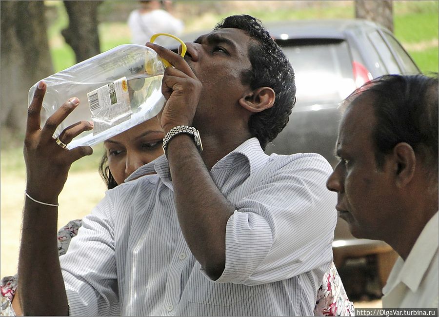 День выдался жаркий, поэтому с собой лучше всегда иметь воду Анурадхапура, Шри-Ланка