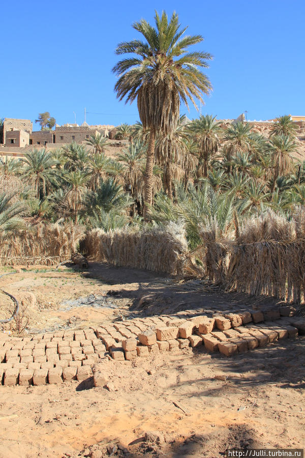 Старейшая Крепость в Сахаре Ksour Beni Abbes Бешар, Алжир
