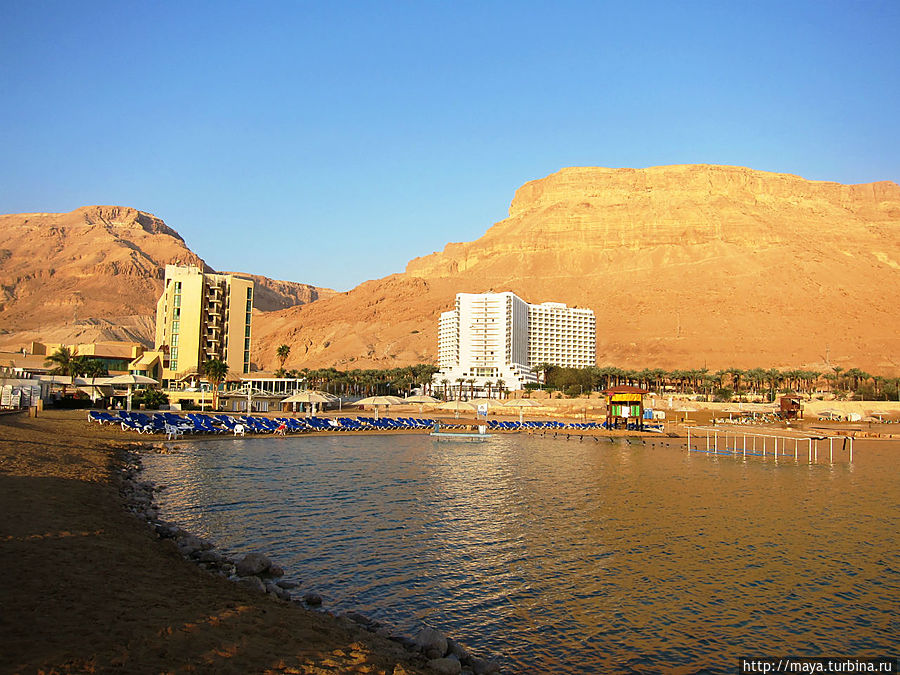 Где мое ваше море? Где мое ваше море?