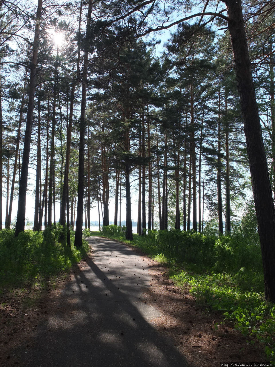 Железногорск — город — спутник Железногорск, Россия