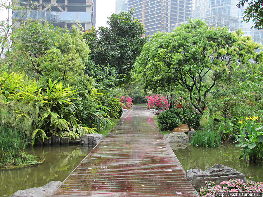Прогулка по парку Гуанчжоу, Китай Прогулка по парку Гуанчжоу, Китай