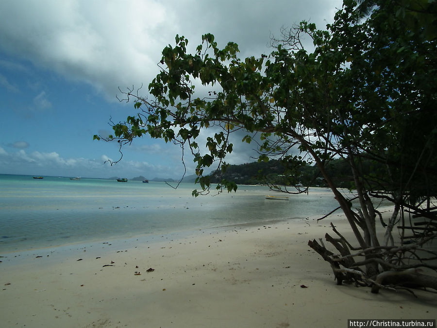 10 пляжей Маэ Остров Маэ, Сейшельские острова