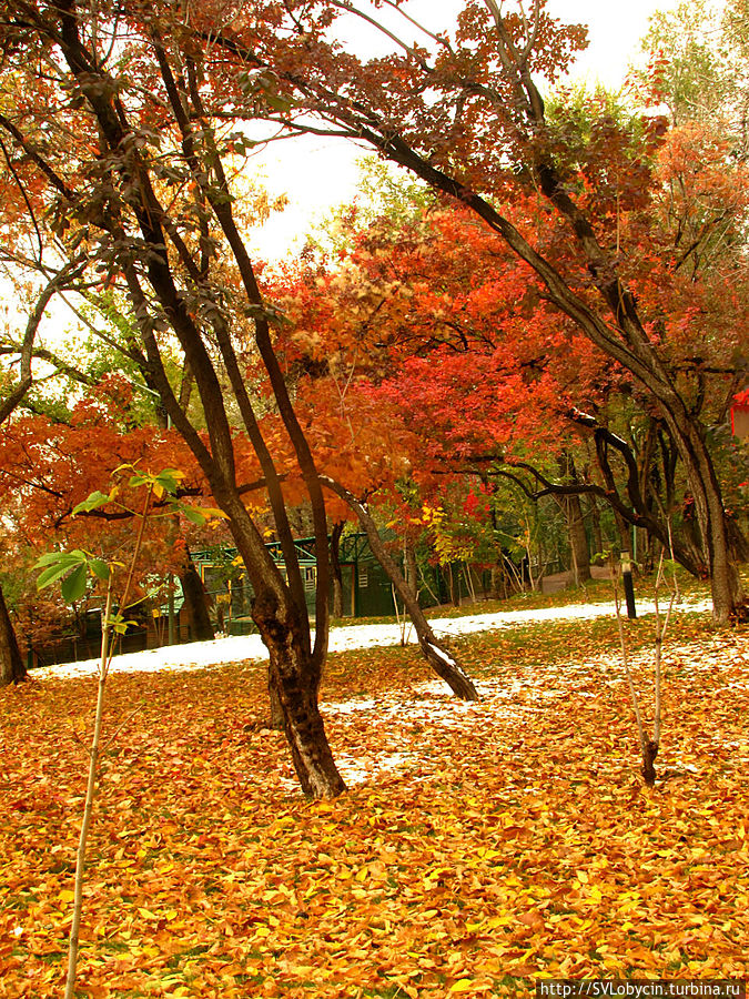 На горе Кок-Тобе На горе Кок-Тобе