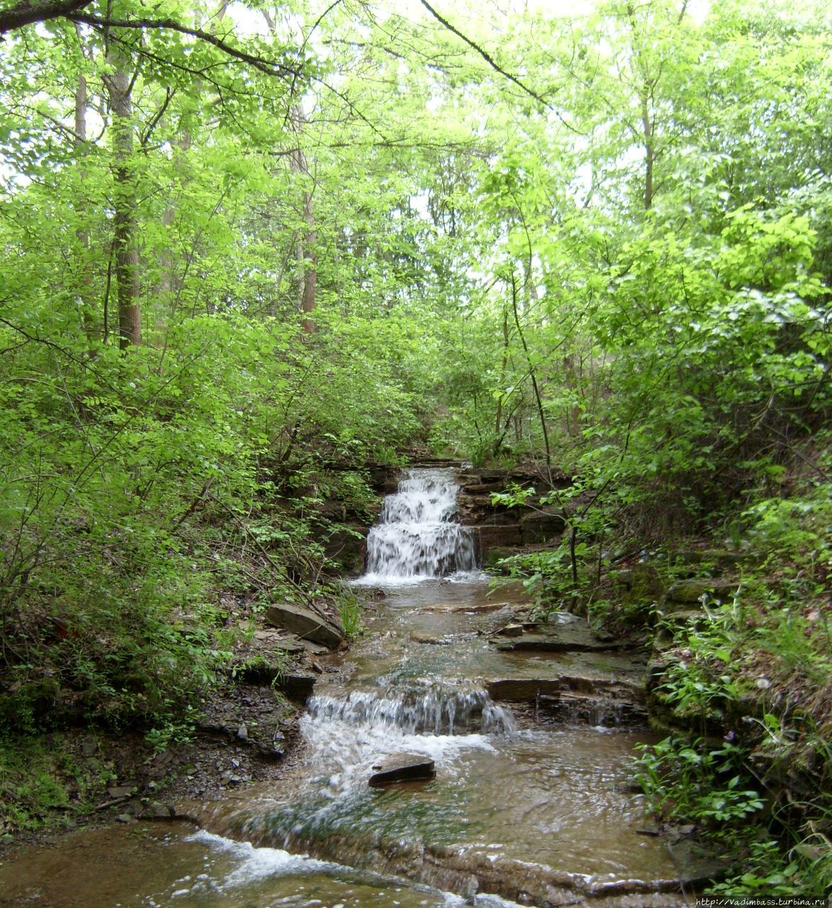 Водопад у с.Кошары.,Луган