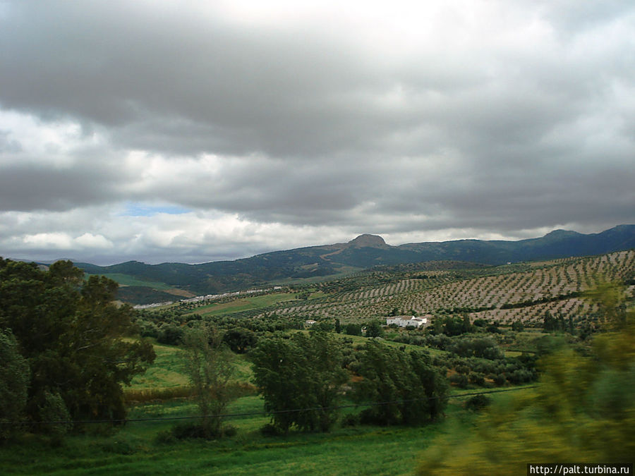 Дорога в Ронду Андалусия, Испания Дорога в Ронду Андалусия, Испания