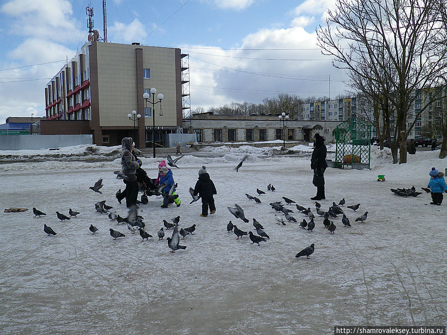 гостиница 