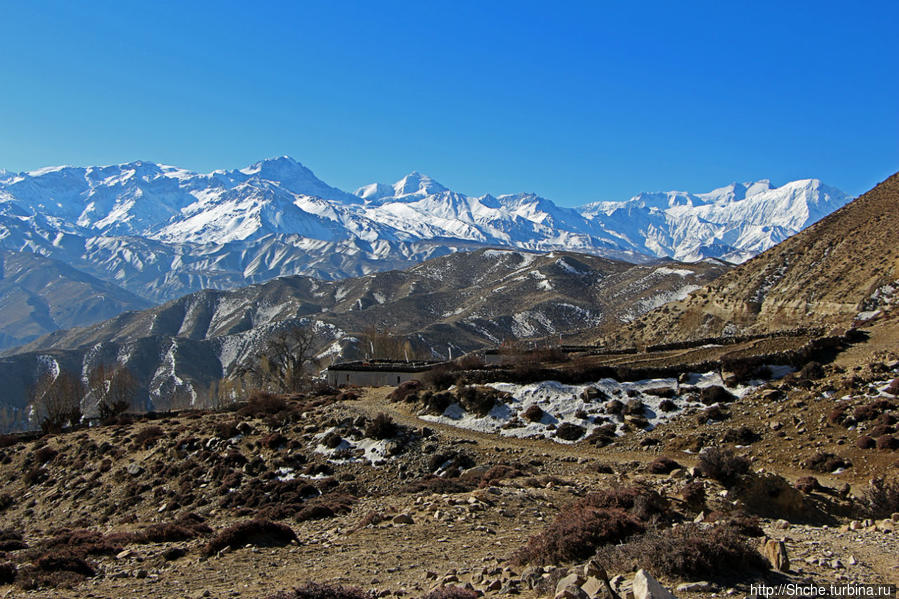 Мустанг. Наш третий день — он трудный самый (перевал 3960м) Гилинг, Непал