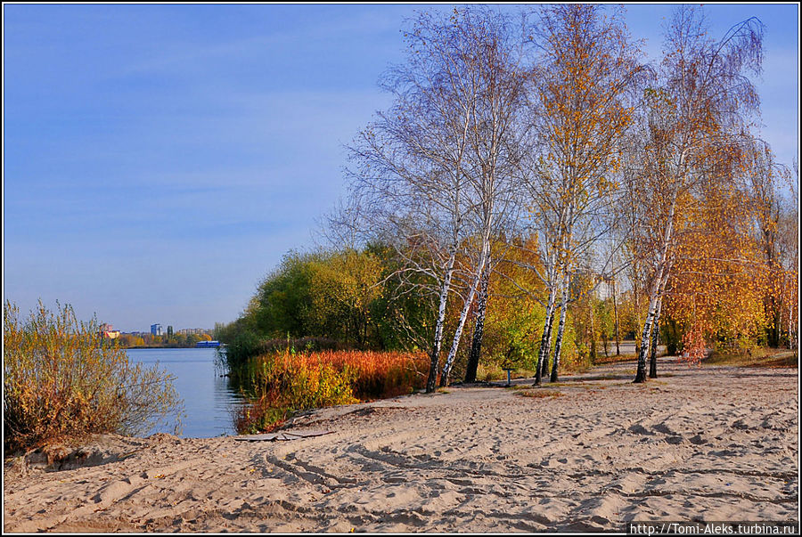 Краски воронежской осени Воронеж, Россия