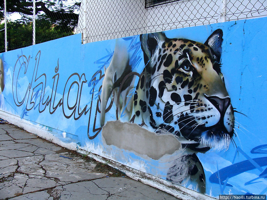 Художественное граффити Чьяпаса