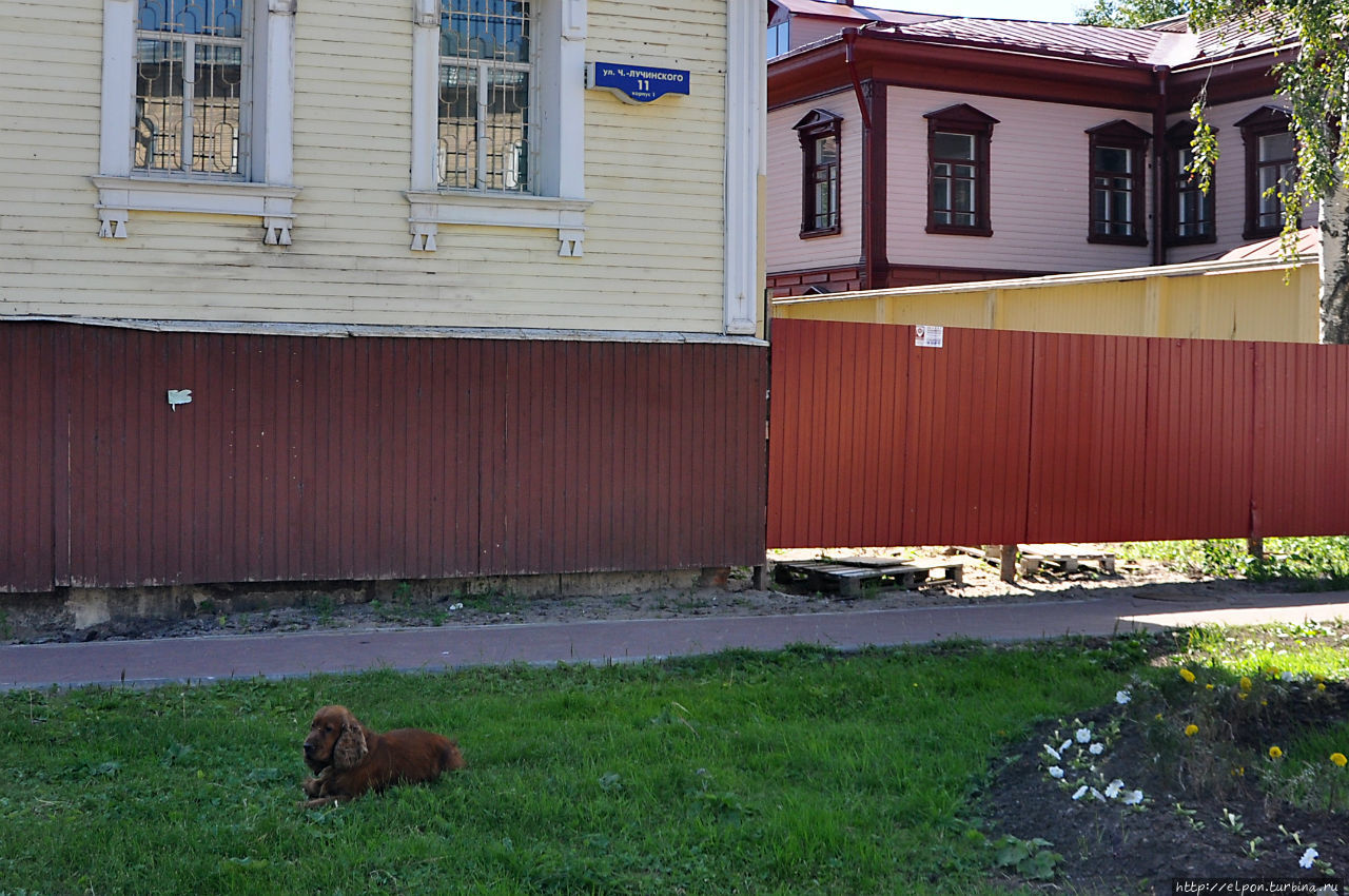 В столице корабелов и трескоедов Архангельск, Россия